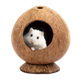 Yeqqzq Coconut Hut Hamster House Bed, Coconut Shell House for Gerbils Gecko, Snake & Ball Python Mice Guinea Pig Small Animal