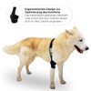 Ortocanis - Elbow Support for Dogs with Osteoarthritis - Injuries
