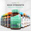 60 Billion CFU Probiotic Supplement - Lactospore® for Optimal Gut