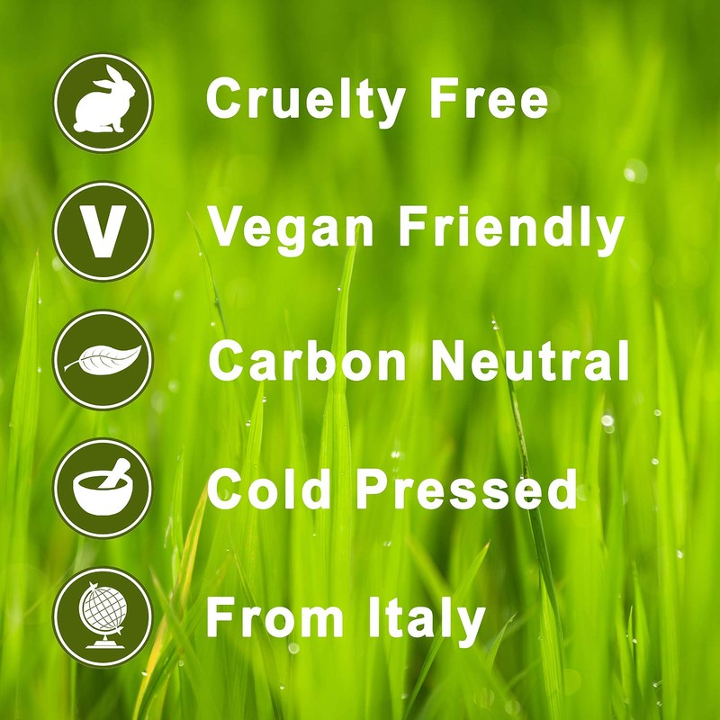 Bergamot 100% Pure Essential Aromatherapy Oil 10ml