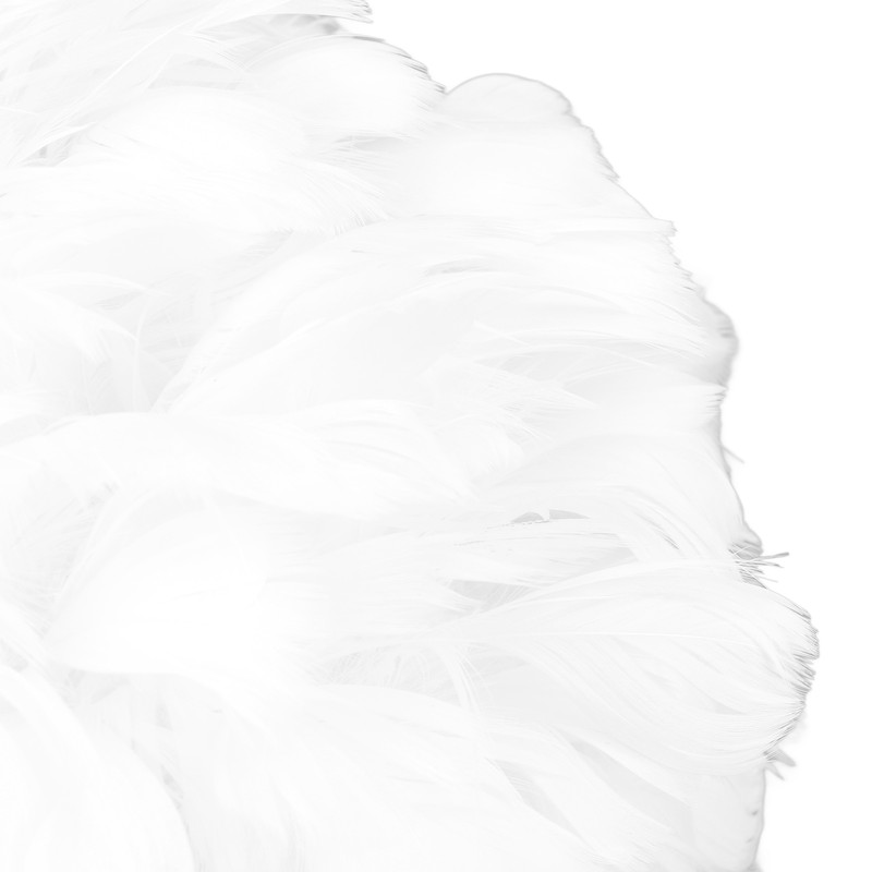 Feather Table Lamp USB Type C 5V Touch Control Stepless