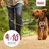 Halti Control Lead - Professional Dog Lead to Stop Pulling,