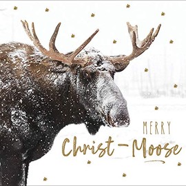 Pack of 5 Delights Of December Christmas Cards Supporting Multiple Charities 457531