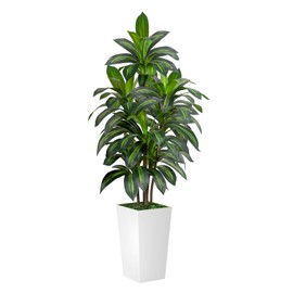 VIVATREES Dracaena Tree 5FT Artificial, 60in Tall Faux Dracaena Tree with 15.7 White Planter, Fake Potted Tree for Indoor & Outdoor Home Office Decor