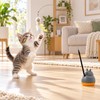 Rotating Base Cat Teaser Wand for Indoor Play – Long