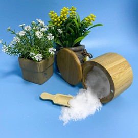 RDEXP 20PCS Wooden Scoop Set Sugar Salt Scoops Spoons for Spice Home Kitchen Tools 2.87x0.94 inch