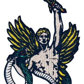 ZEGINs Victory of Defeat Evil Patch Embroidered Applique Badge Iron On Sew On Emblem