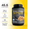 Evolution Wp100 Proteínas Suero De Leche Sabor Nuez 1400 G