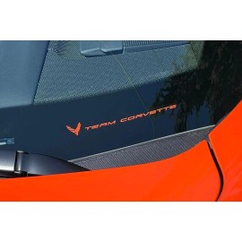 23766  C8 Corvette AMPLIFY ORANGE 'TEAM CORVETTE' PLAIN BLANK VINYL INSERT! 2IN X 7IN
