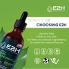 E2H Chlorophyll Liquid Drops - All-Natural Flavored Energy Booster, Immune