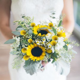 JOJAZE 30 Pcs Natural Dried Flowers Craspedia Billy Balls Flowers Yellow Dried Craspedia Flowers Billy Buttons Floral Bouquet for Flower Arrangements Wedding Home Tall Vase Decor Fall Autumn