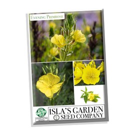 Evening Primrose Mix Flower Seeds, 1500+ Seeds Per Packet, (Isla's Garden Seeds), Noon GMO & Heirloom Seeds, Botanical Name: Oenothera Larmarckiana, Great Home Garden Gift