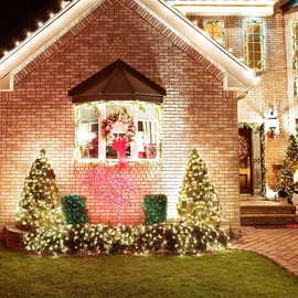 Outdoor Light Strings LED Copper Wire Lights, Each Set 33ft/10M 100LEDs and 1 Remote Control.AA Battery Powered,Decor Rope Lights for Holiday,Wedding, Parties.(Purple 1)