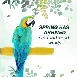 Comfort Grip Safety Bird Perch - Pedicure Perch for Healthy Nails & Beaks - Easy-to-Install Bird Cage Accessories - Medium, 8.5" - Color: Yellow