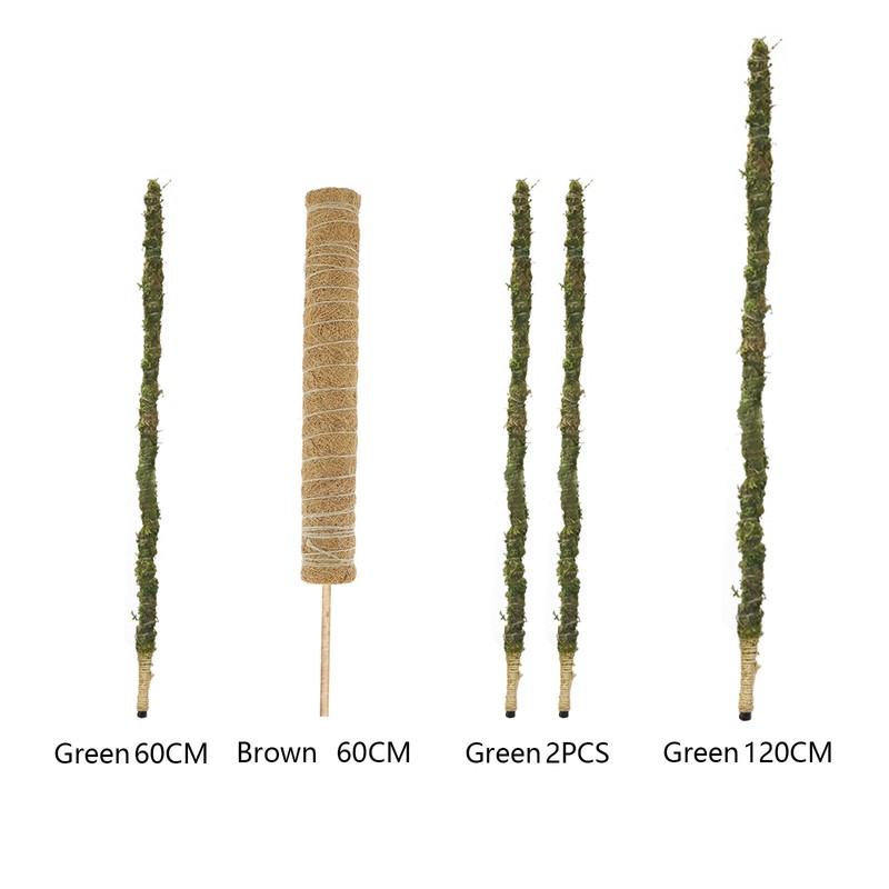 Moss Pole Coconut Stick DIY Modeling Plant Climbing Pole Climbing