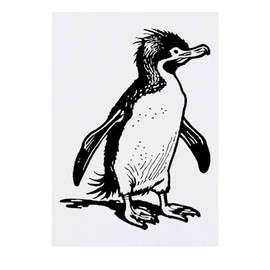'Southern Rockhopper Penguin' Temporary Tattoo - Water Resistant, Skin-Safe, Non-Toxic Transfer (TO00071585)