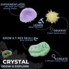 Crystal Grow and Explore Kit by Heebie Jeebies - Create