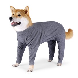 Pinellia Dog Recovery Suit, Abdominal Wound After Surgery Wear, Prevent Licking Wounds, E-Collar & Cone Alternatives, Long Sleeve Postoperative Shirts Dog Bodysuit Prevent Shedding(Medium, Grey)