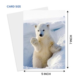Adorable Polar Bear Greeting Card - Large 5x7 inch - Blank Inside for All Occasions - Unique Wildlife Photography for Nature & Animal Lovers - Winter Animal Card for Birthdays, Holidays, Christmas, Thinking of You, New Baby, Miss You, Congradulations, Bon Voyage