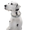 BAOBOTE Gold Dog Chain Collar Walking Metal Chain Collar with