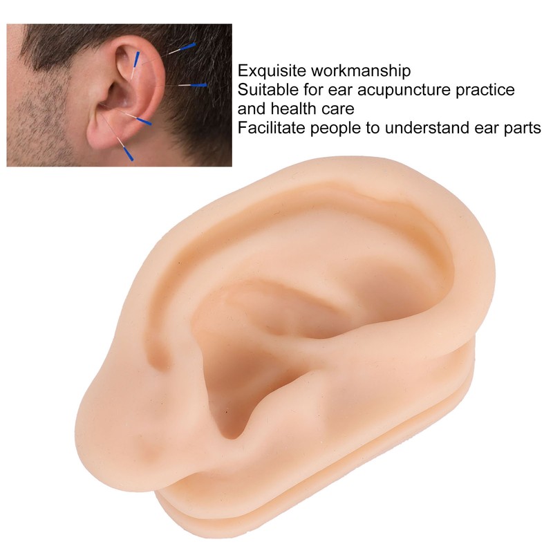 Soft Silicone Ear Model Simulation Ear Acupuncture Practice Model for