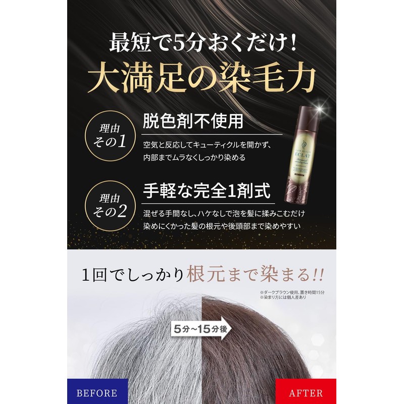 Hair Boteecra Botanical Air Color Foam EX Dark Brown 5.3