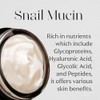 Mizon Black Snail All in One Cream, Elasticity Care and
