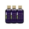 3 Shampoo Anticaída Extracto Romero Y Limón Terramar /250ml