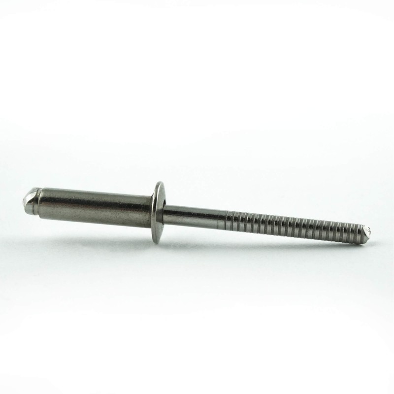 Eisenwaren2000 4 x 8 mm blind rivet (100 pieces) -