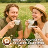 Sou Zen Chamomile Comfort Loose Leaf Chamomile Tea Bags (30