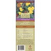 Narcissus x jonquilla 'Jonquil' / 10 Healthy Fresh Daffodil Bulbs