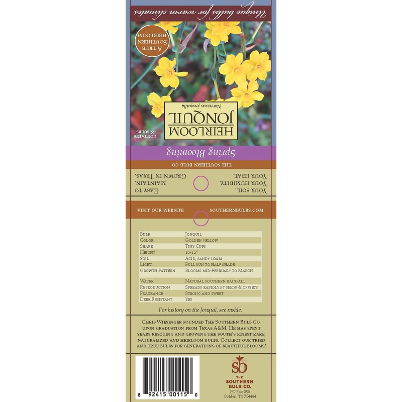 Narcissus x jonquilla 'Jonquil' / 10 Healthy Fresh Daffodil Bulbs
