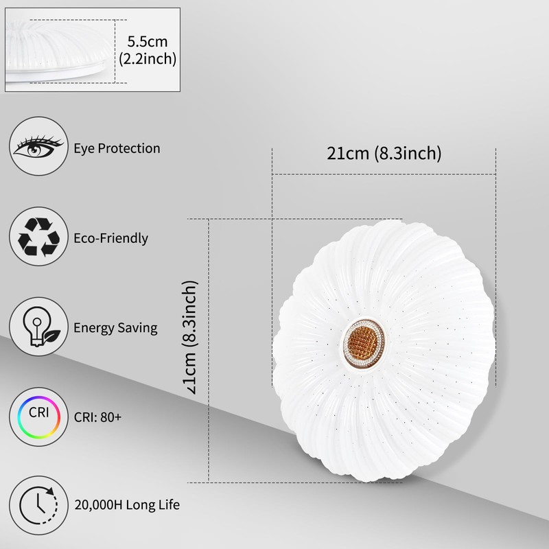 VIPMOON 22W LED Passage Ceiling Light, High Brightness Flush Light,