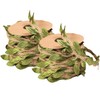 2 Rolls Natural Jute Leaf Twine Rope String for Arts