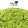 WWS War World Scenics WWScenics | 2 mm Spring Static