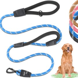 6 Ft Dog Leash - Heavy Duty Leashes for Medium Dogs to Large Breeds, Two Extra Padded Handles, Reflective, Shock-Absorbing, Strong Anti-Pull Rope Training Leash for Walking & Running - Roam Gear