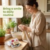 Mushroom Ceramic Soap Dish Scroll Shape Soap Holder with Self-Draining