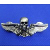 USAF AIR FORCE Aviation SKULL BONES CCT PJ PILOT WINGS