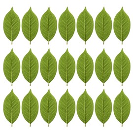 Healifty 50Pcs Artificial Magnolia Leaves: Fake Faux Magnolia Stems Wreath Green Plant Garland Branches for Wedding Home Decor 7.28 X 3.07 Inch