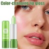 3PCS Aloe Vera Lip Balm Set - Magic Color Changing