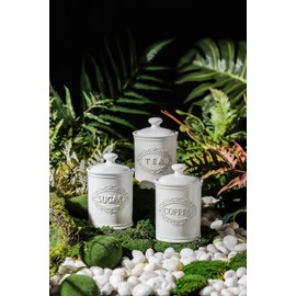 Relief Vine TAWCHES Ceramic Canisters Sets For The Kitchen Canisters For Countertop Set of 3 Airtight Coffee Canisters For Ground Coffee Sugar Container Tea Storage Jars With Lids Farmhouse Decor, White
