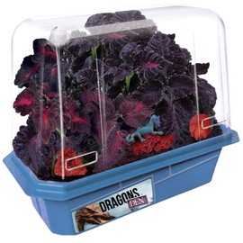 Toys By Nature Miniature Worlds Dragon's Den Flower Gardening Kit - Grow Your Own Mythical Lair with Dragon Figurine and Lava Rock (Dragon's Den)