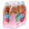 Snapple Diet Zero Sugar Raspberry 16 oz Bottles (Pack Of