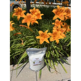 Improve Your Lawn and Garden with Soil Vigor for Long-Term Hydration and Nourishment! (2 Pounds)
