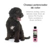 Petuxe Shampoo for Pets, Colour Enhancement, Vegan, Dog and Cat,