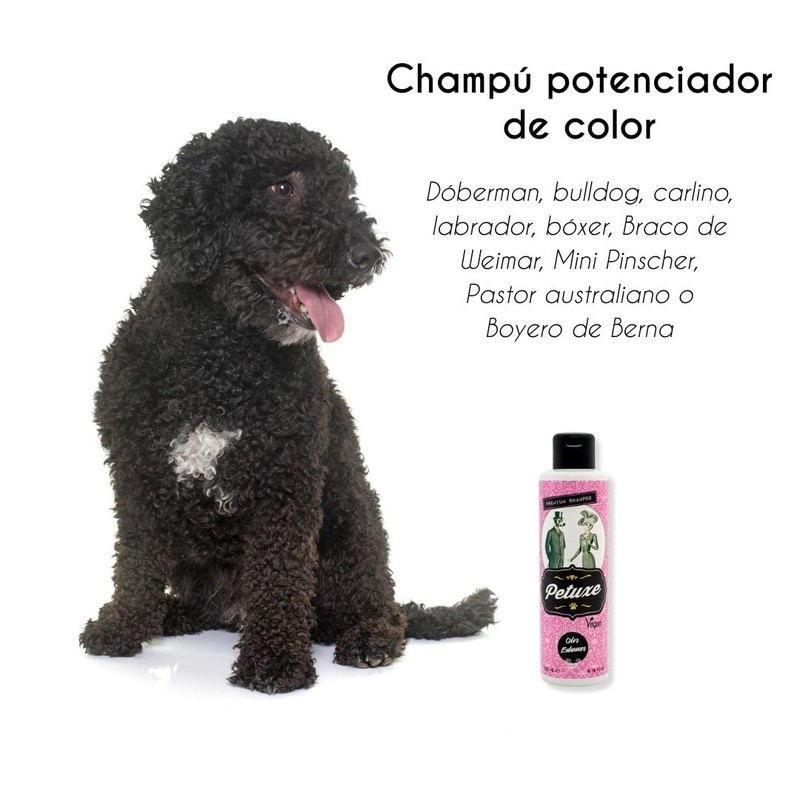 Petuxe Shampoo for Pets, Colour Enhancement, Vegan, Dog and Cat,
