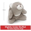 GUND Original Snuffles Teddy Bear, Premium Stuffed Animal for Ages