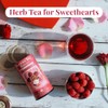 The Republic of Tea - Raspberry Rose Hibiscus Tea, 36