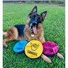 ZippyToss Flying Interactive 9" Dog Disc and Fetch Toy –