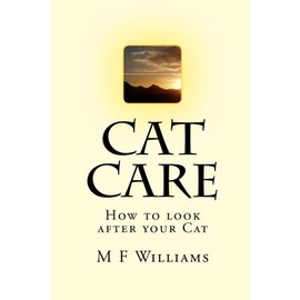  Cat Care: How to look after your Cat